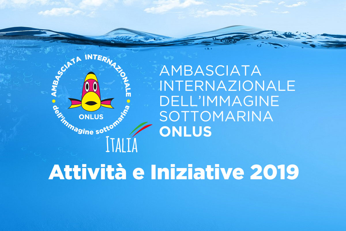 Attività e Iniziative 2019