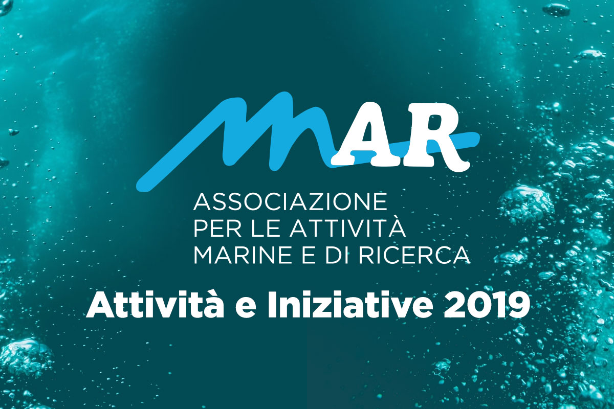 Attività e Iniziative 2019